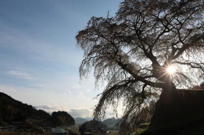 又兵衛桜 ~奈良:宇陀の桜巡り 2012 Part1~