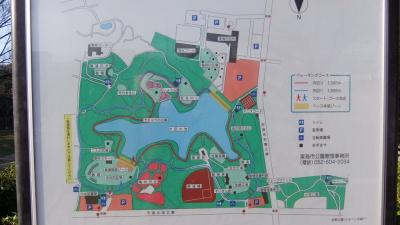 15日曜午前まだ見れた大池公園のサクラ