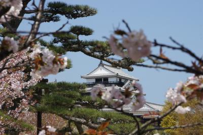 20120417 松山 松山城 → 蔵元屋 → 萬翠荘