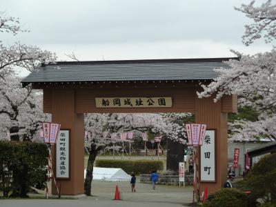 宮城にも春がやって来ました『船岡城址公園編』