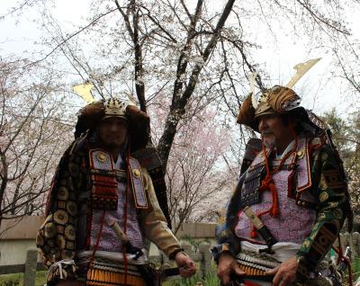 2012年　4月　春の京都　偶然にも平野桜祭り（桜祭神幸祭）に遭遇、有名な「魁桜」など平野神社は珍種がいっぱい