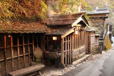 やっとマイルが貯まったので熊本に行ってみました。