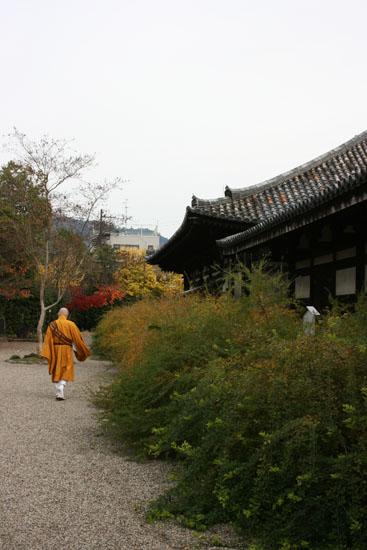 宇治で抹茶パフェと奈良のお寺めぐり、美味しい関西1