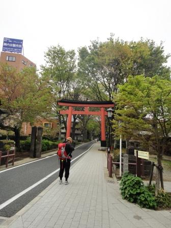 大宮朝のお散歩　中山道