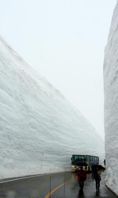 高遠桜と立山・雪の大谷
