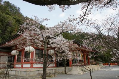 平成24年4月17日 鞍馬寺