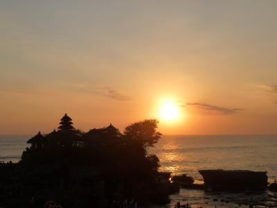 バリで夕日を見て動物に触れあいたい