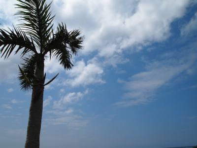 雨のち晴れ　沖縄の旅　前編