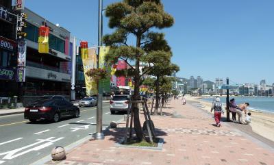 ☆また釜山です。チョット陝川にも行ってきました。