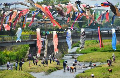 町田・鶴見川泳げ鯉いのぼり