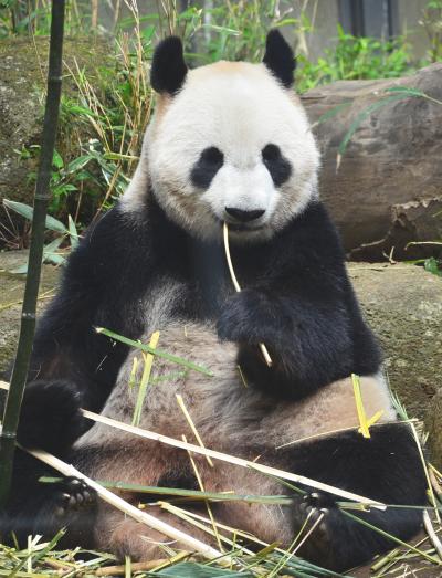 上野動物園に初めて行ってきました
