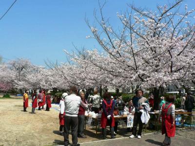 日本の旅　関西を歩く　大阪・枚方市、枚方八景（ひらかたはっけい）の一つ「牧野の桜」
