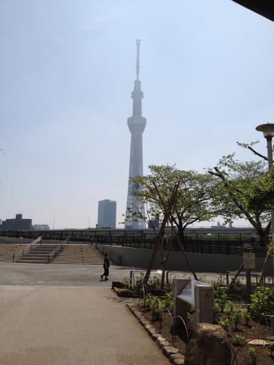 大好きな東京で文化と芸術を楽しんできました♪　前半 品川のホテルと浅草編