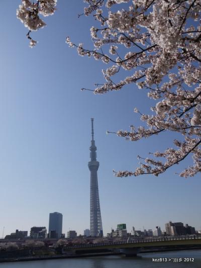 東京天空樹スカイツリー春爛漫