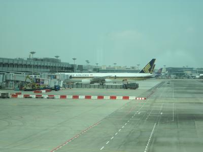 羽田~シンガポール~バリ島