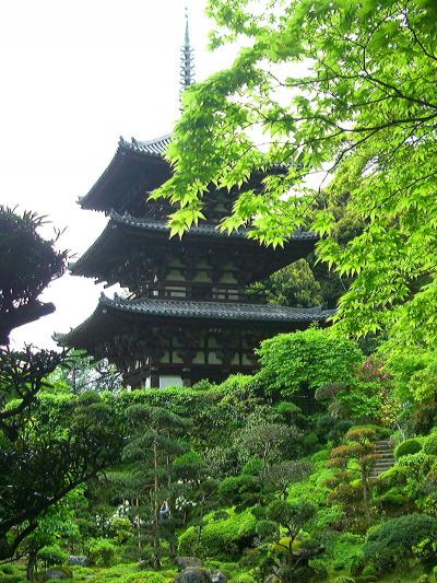 関西花の寺　２１番霊場　當麻寺西南院（たいまでら　さいないん）