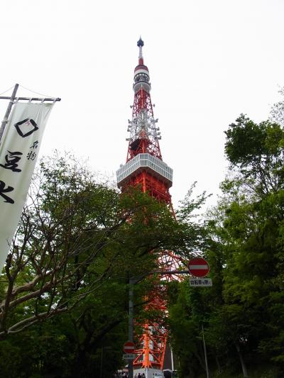 ノッポンと上る！東京タワー