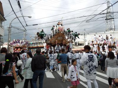 本住吉神社　地車（だんじり）祭り　とばせ♪とばせ♪とばせ♪　2012