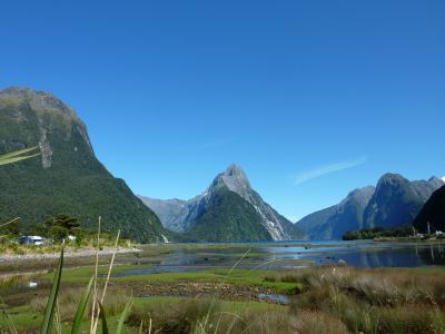ニュージーランド旅行⑥～近いようで遠い羊～