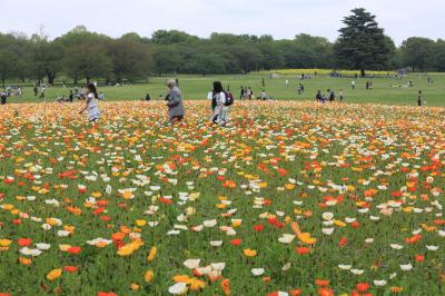 昭和記念公園 春 2012　～昭和記念公園ファン倶楽部オフ会～