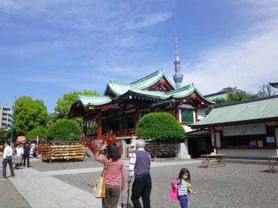 亀戸天神、藤の花便り。