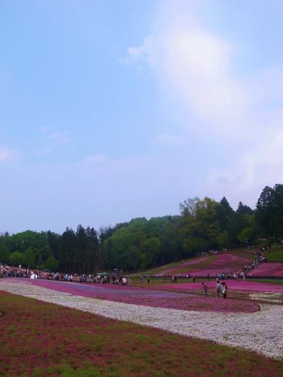 2012.5　秩父羊山公園の芝桜の丘へ