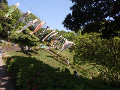 金沢自然公園で遊ぶ子どもの日！