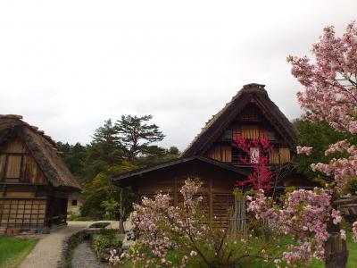 母娘でバスツアー!飛騨高山~白川郷~立山黒部アルペンルート