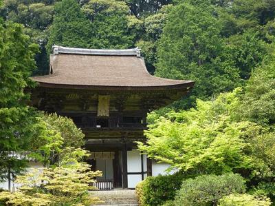 げんちゃで奈良散歩　柳生編