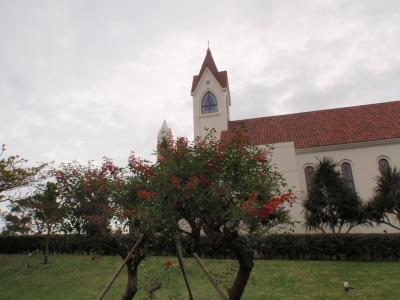 もう一度アリビラ＆ジンベイザメと泳いじゃお