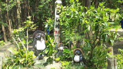 ひとり山歩き：奥高尾