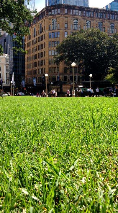 シドニー2012(全5日間)3