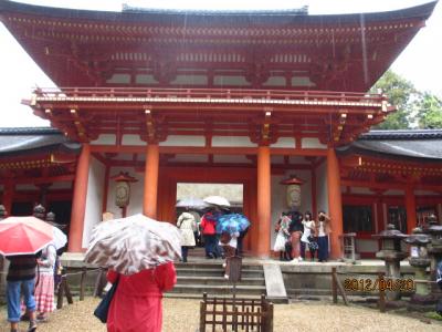 造幣局の通り抜けと醍醐の葉桜（４）春日大社参拝。 