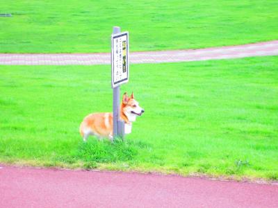 オロロンライン♪（いざ北海道へ　sono４）