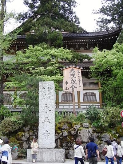 2012年GWは蕎麦食って、魚食って、牛食うぞ vol.1★福井県永平寺編