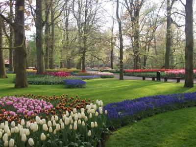 ☆2012年5月 遂に訪問、キューケンホフ!(おまけでデン・ハーグ)☆ (オランダ第2弾)(作成中)