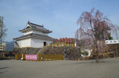 桜が満開の舞鶴城公園（甲府城）を訪ねて