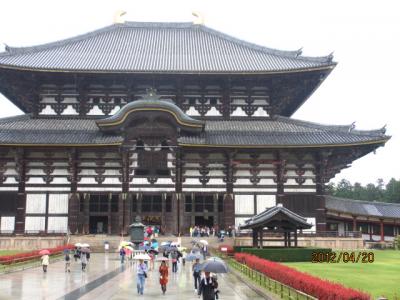 造幣局の通り抜けと醍醐の葉桜（８）東大寺大仏殿。