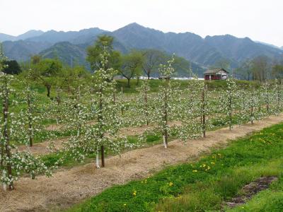 安曇野ひとり旅