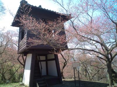 １２春　信州桜めぐりツアー　その３の前