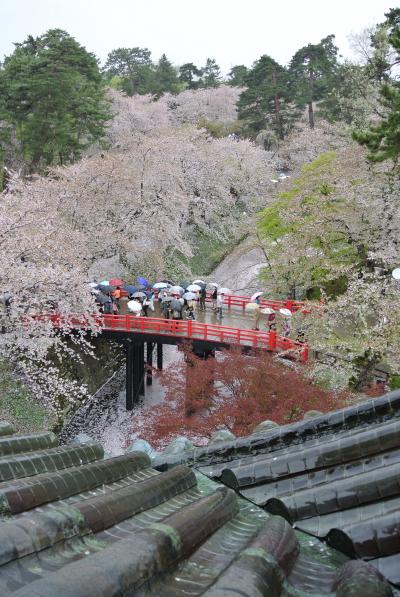 東北の桜を見たくて　弘前・角館の旅