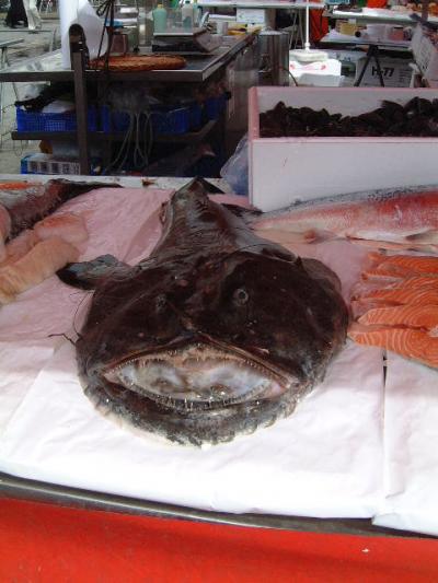 北欧新婚旅行⑥ベルゲン