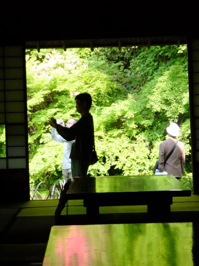 九年庵　新緑にうっとり　静寂の美～