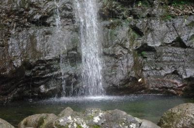 GW2回目のオアフNO5♪