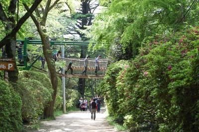 清水公園にいく