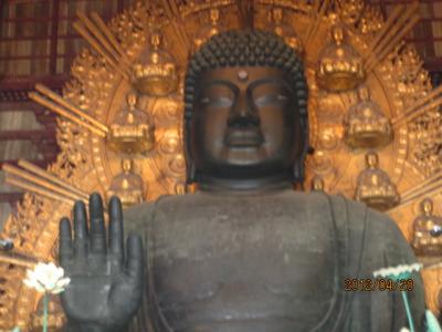 造幣局の通り抜けと醍醐の葉桜（9）東大寺の大仏こと「盧舎那仏
