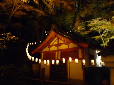 2011　石山寺　秋のライトアップ　