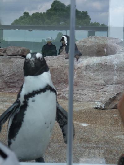 はんなり！？京都−京都水族館-