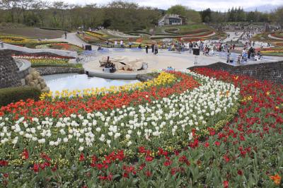 みちのく杜の湖畔公園2012