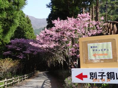 別子銅山の歴史を辿って　②東平（とうなる）地区